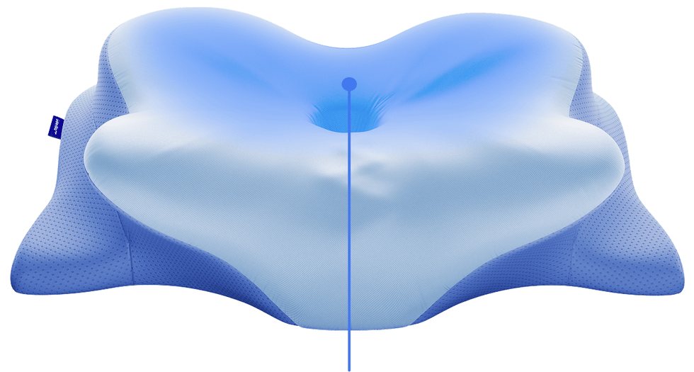 Diagram of the Derila Ergo support zones