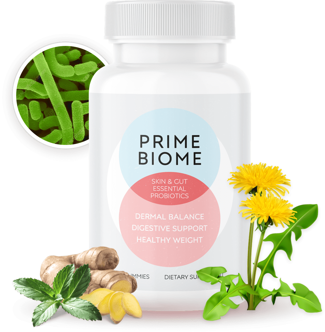 PrimeBiome bottle of 30 skin and gut gummies